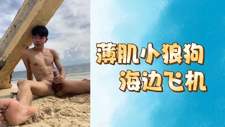 薄肌小狼狗海边飞机.