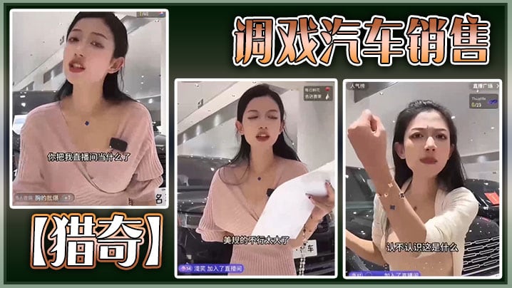 【猎奇】调戏汽车销售
