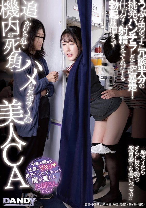 104DANDY968うぶな男の子に冗談半分の挑発パンチラしたら超暴走！仕方なく射精させてあげても勃起は治