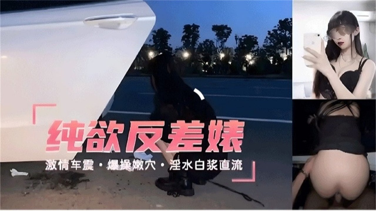 高颜值反差婊户外车震爆操骚逼内射