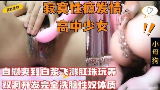 [SSNI-789] 极品高中少女沦陷调教 双洞爆操白浆狂喷