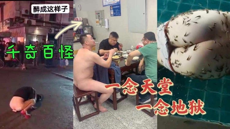 【重磅吃瓜】千奇百怪的大人们怎么是这个样子