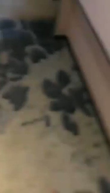 看着我被操，不拦着也就算了，还用手机录视频。
